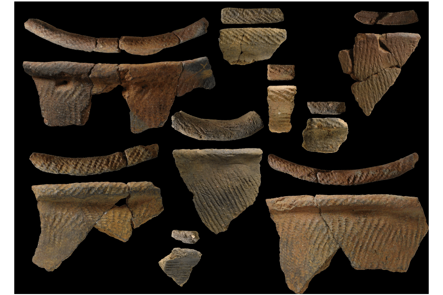 井草式土器画像