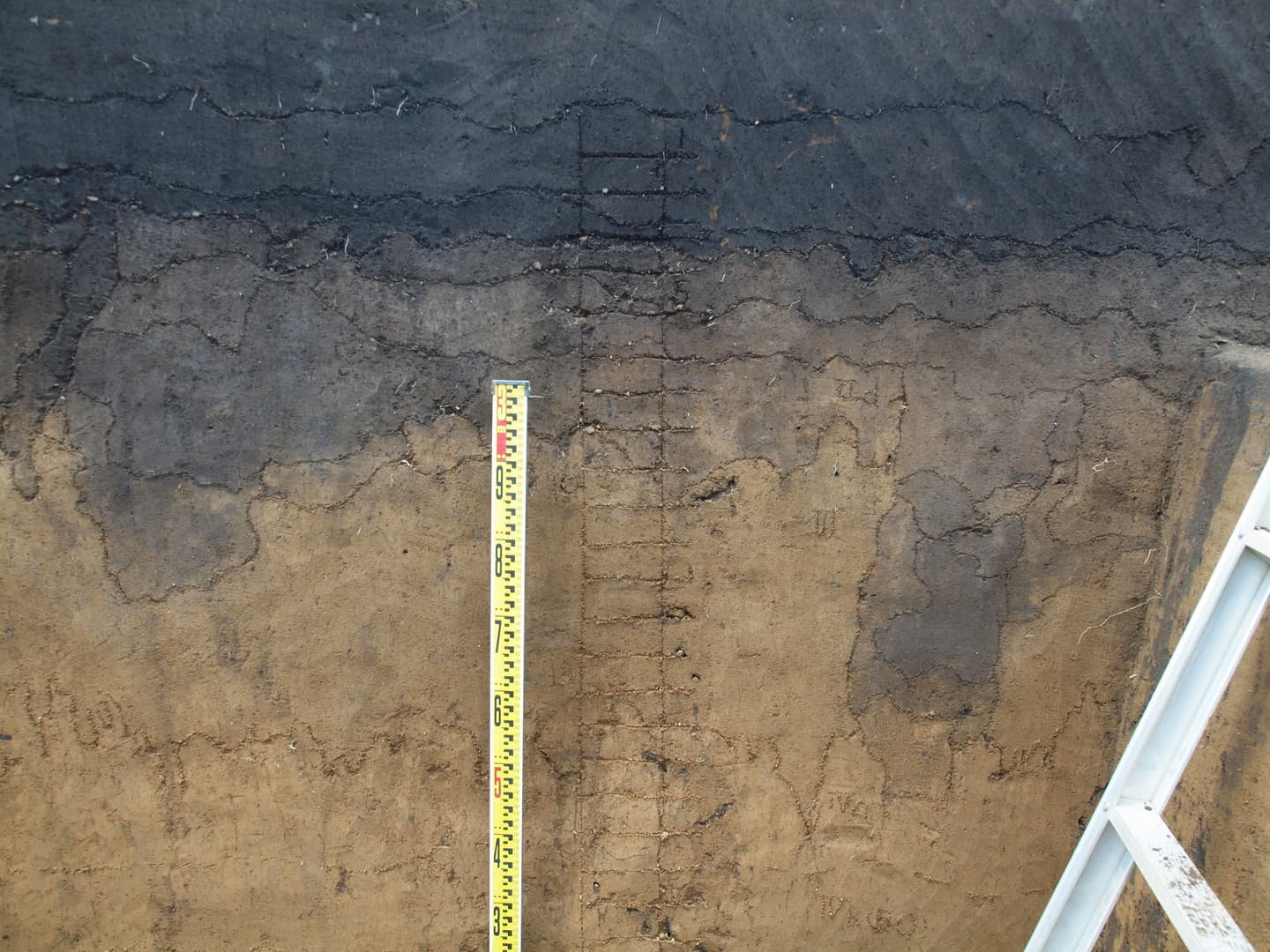 分析試料採取作業